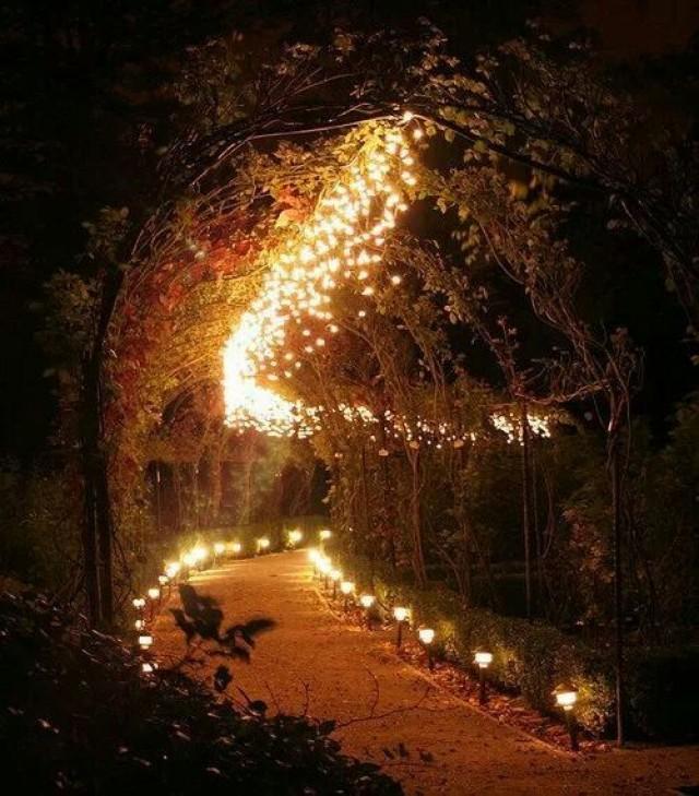 Decor - Path Of Lights #2039763 - Weddbook